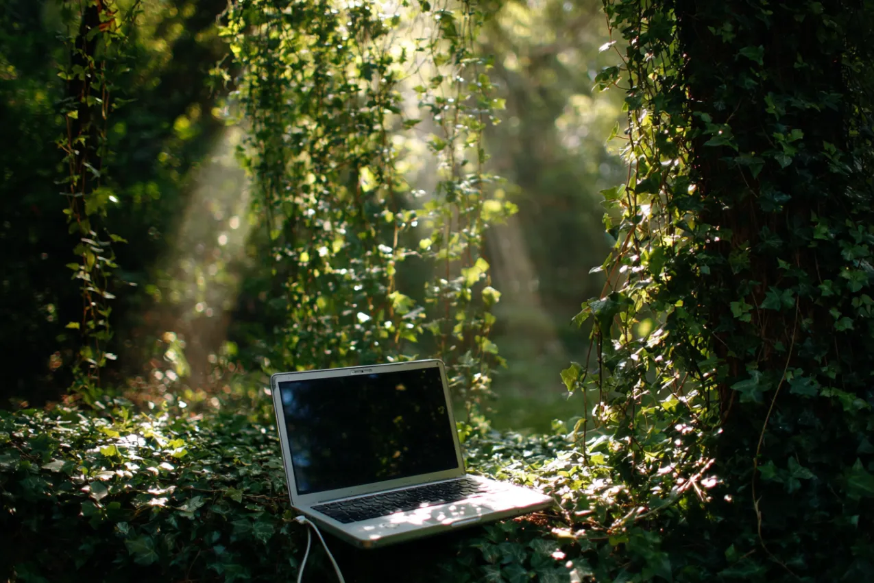 Green Pastures, Clean Conscience: How the Flock Can Browse Without Trashing the Meadow 🌱💚