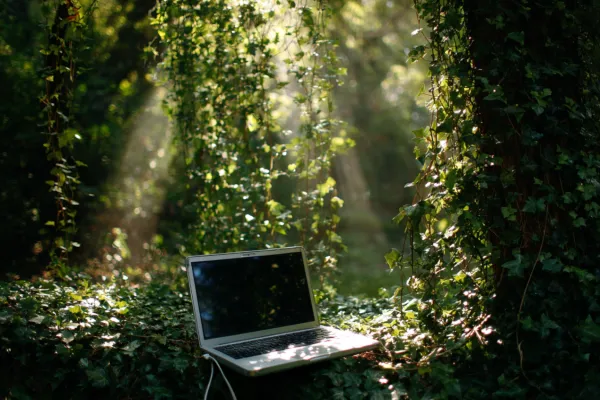 Green Pastures, Clean Conscience: How the Flock Can Browse Without Trashing the Meadow 🌱💚